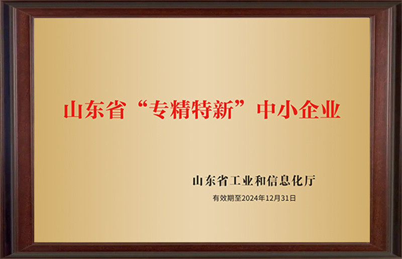 山東省專精特新中小企業(yè)